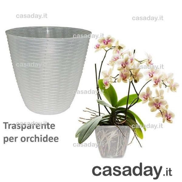 PORTAVASO PAGLIA CM.19 